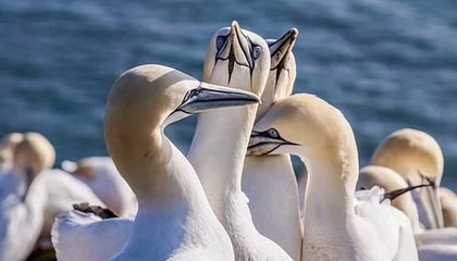 英雄联盟总决赛 直播-海港密练点球做好万全准备 战浙江或重拾防反心得