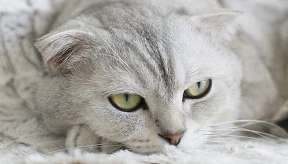 开运在线赛事平台：把运气与实力点亮在线竞技的新纪元